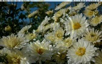 Liquid Desktop Live Wallpaper Mac