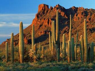 Arizona Usa Travel Info Tourist Attractions