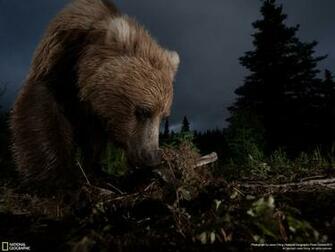 Archive National Geographic Photo Contest Winners