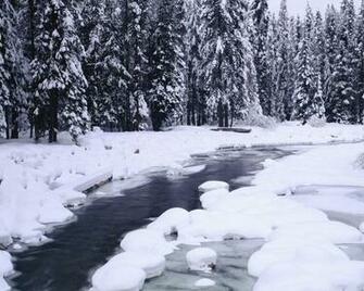 Winter Day Wallpaper Jpg