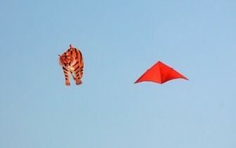 Happy Utrayan Kites HD Wallpaper For Photos