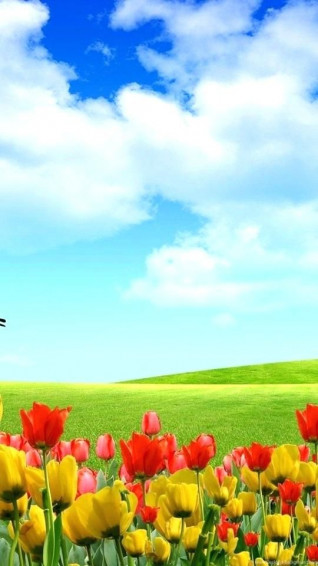 Beautiful Nature Wallpaper For Mobile HD Full Screen
