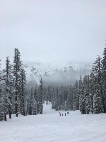 Snowy Day Pictures Image