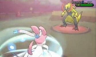 Pokemon Xy Zigzagoon HD Wallpaper Animewp