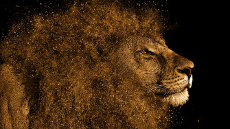 Lion Art 4k Laptop Full HD 1080p Wallpaper Image