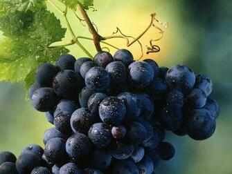 Wallpaper Box Grapes Harvest Fall HD
