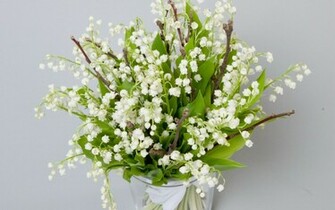 Lily Of The Valley Widescreen Wallpaper