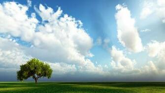 Lazy Day Wallpaper Beautiful Photos