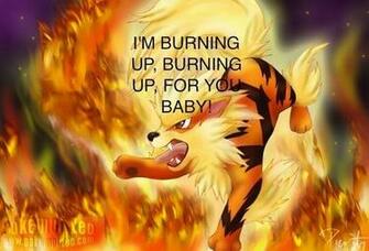Pok Mon Image Arcanine HD Wallpaper And Background Photos