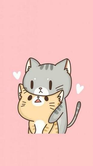 Cute Cat Wallpaper HD Collections
