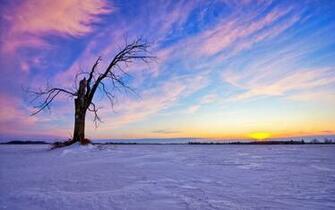 HD Winter Wallpaper