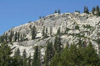 Mammoth Mountain Countryside By Acrotianmagic