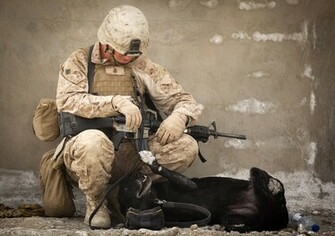 Us Marines HD Wallpaper