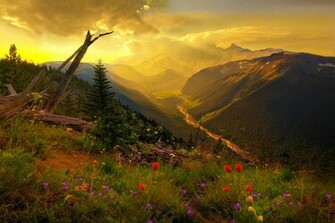 Mount Rainier Wallpaper Lold Funny Pictures