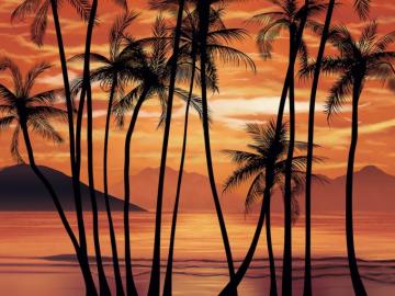 Scarface Inspired Tropical Wallpaper By George Leventidis On Dribbble