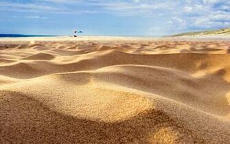 Small Beach Sand Dunes Wallpaper Umad