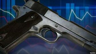 N H House Passes Gun Sale Background Check Bill