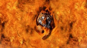In Flames Wallpaper