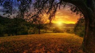 What Is Circadian Rhythm And Why It Important For Health