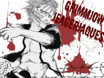 Grimmjow Jeagerjaques Wallpaper