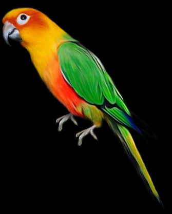 Png Image Wallpaper HD Wide