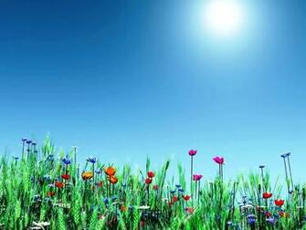 Desktop Wallpaper Spring Flowers For Your