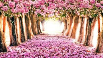 Desktop Wallpaper Spring Season Cute