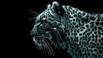 Wallpaper HD Crazy Cool