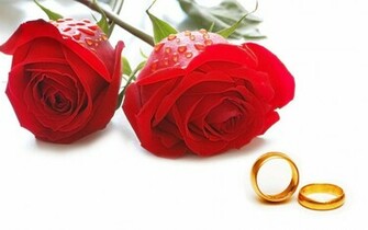 Tag Red Rose Wallpaper Image Photos Pictures And Background For
