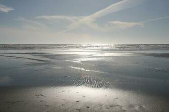 Oregon Beach Wallpaper