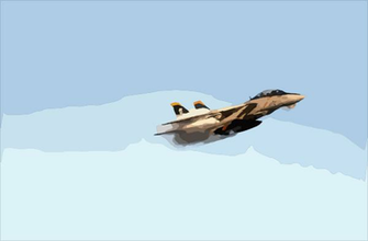 Tomcat Jolly Rogers