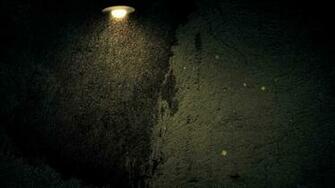 Fireflies Video Background Loop HD 1080p