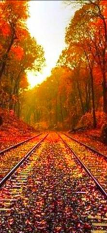 Autumn Leaves On The Rails HD Wonderful Wallpaper