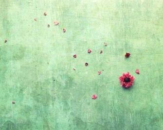 Mint Green Color Wallpaper Zen Art Flower Petals