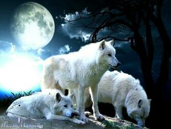 Wiccan Moonsong The Wolf Pack Creed In Celebration Of Full