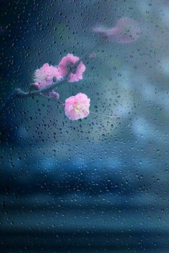 Raining Wallpaper Cool Whatsapp Status Rain
