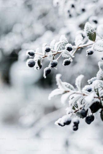 Winter Solstice Wallpaper