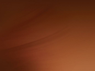 Brand New Wallpaper Has A