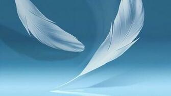 Feather Wallpaper Hq Desktop