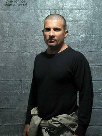 Dominic Purcell Photo
