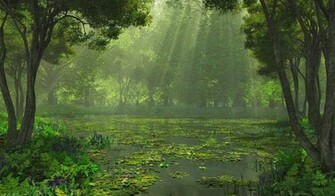Rain Beautiful Nature Wallpaper Picture Gallery