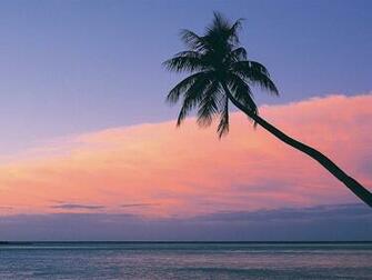 Landscape Fiji Beach Sunset Wallpaper Lock Screen iPhone