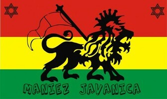 Rasta Lion Background Wallpaper HD