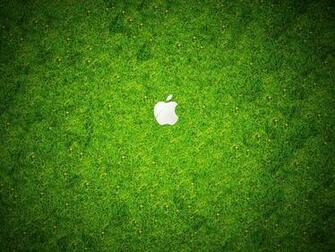 HD Grass Wallpaper