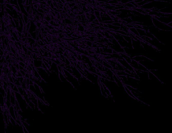 Dark Purple Background High Definition Wallpaper
