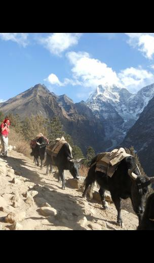 Amazon Nepal Wallpaper HD Of Appstore For