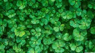Happy St Patrick S Day 4k HD Desktop Wallpaper For