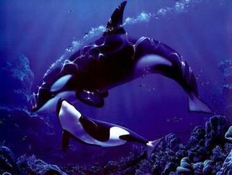 Beautiful Killer Whale Wallpaper At Wallpaperbro