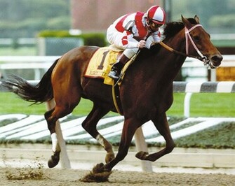 Top Amazing And Dashing Horse Racing Wallpaper In HD HDhut