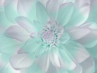 Cynthia Selahblue Cynti19 Image Pastel HD Wallpaper And
